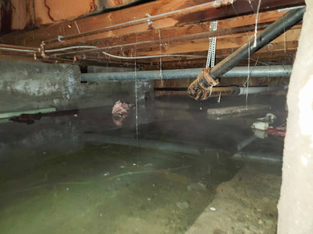 Best Water damage cleanup near me  in Groves, TX