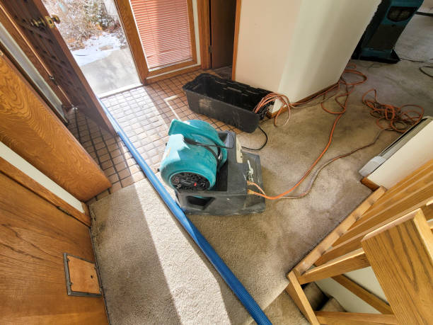 Best Water damage contractors near me  in Groves, TX