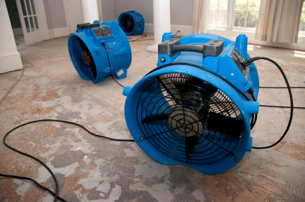 Best Professional water damage repair  in Groves, TX